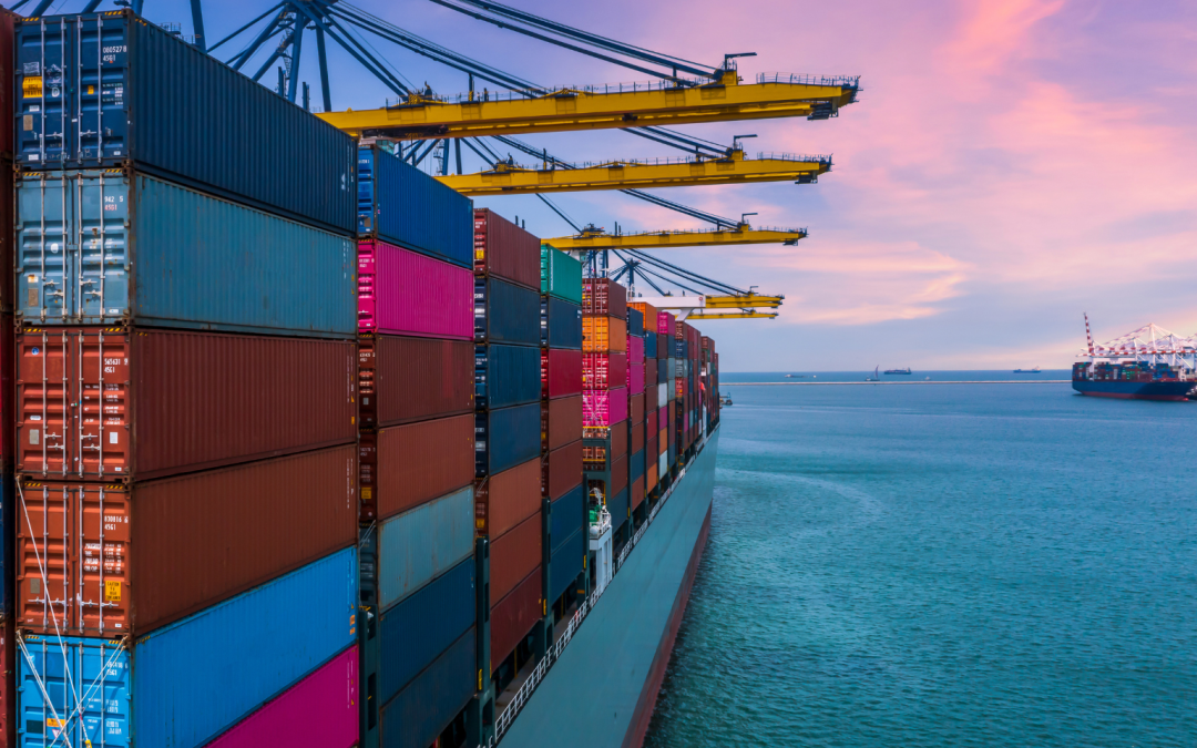 Navigating International Relocation: Why the Right Partner Makes All the Difference